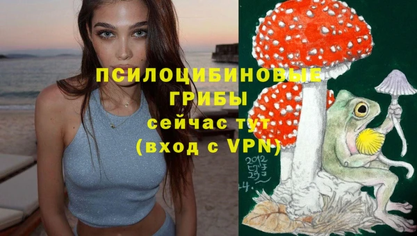 твердый Абинск