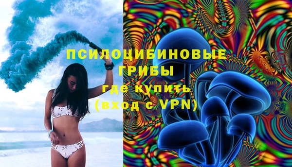 мяу мяу мука Нефтегорск
